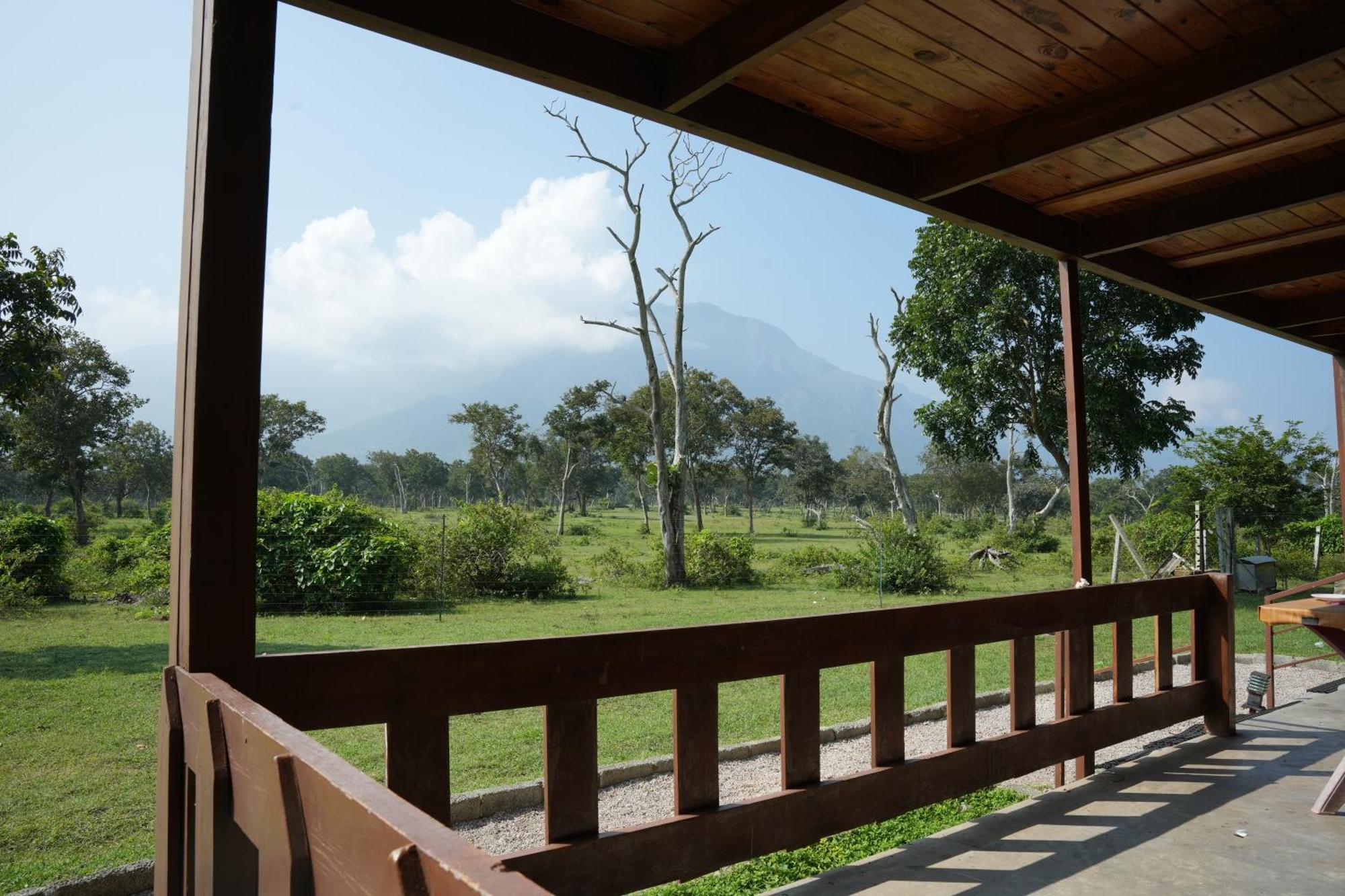Labdhi Resorts Masinagudi- Stag Groups Not Allowed Exteriör bild