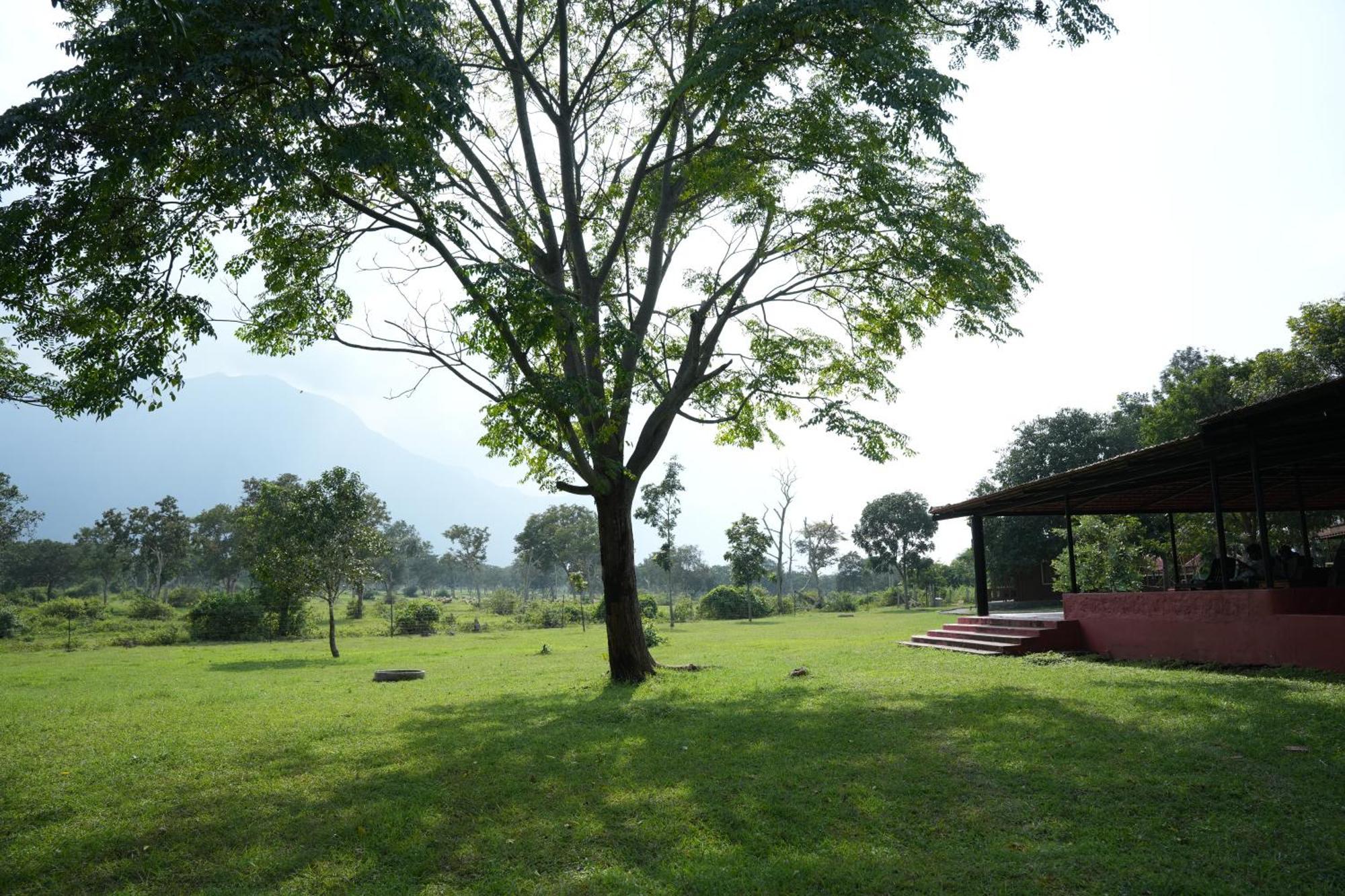 Labdhi Resorts Masinagudi- Stag Groups Not Allowed Exteriör bild